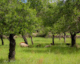 Negocio Punto Verde Andratx